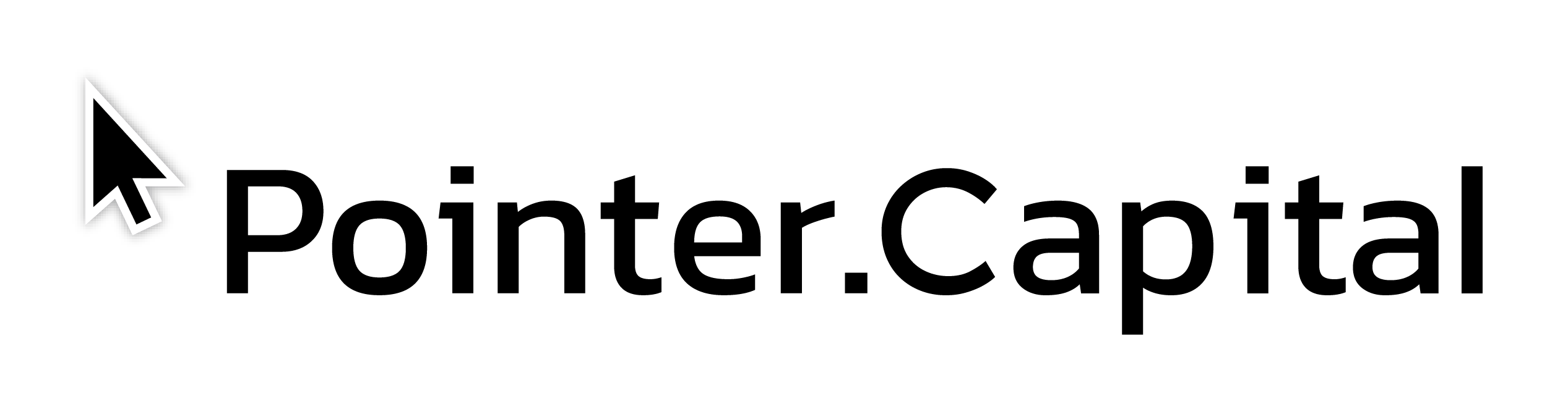logo-pointer-capital_POZIOM-JASNE-TLA (1) (1)